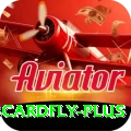 3cardfly Turbo Pro v4.2.4