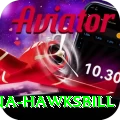 antigua hawksbill Master v2.9.6
