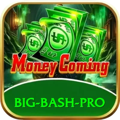 big bash Pakistan Deluxe v2.7.8 - 2