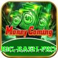 big bash Pakistan Deluxe v2.7.8
