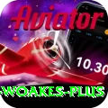 chris woakes - Pro v1.0.5