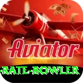 economy rate bowler Pro1 v3.0.2