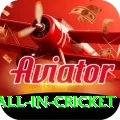 fastest ball in cricket Ultimate Pro v5.2.7