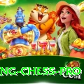 flying chess Premium Pakistan