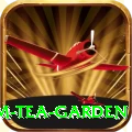 hile ilam tea garden Games (Casino & Earning) Premium v2.7.4