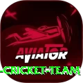 hong kong cricket team VIP Pro v1.3.4