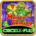 india bangladesh cricket Royal - Casino & Slots