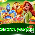 india cricket match Pro1 v1.3.2