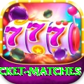 india upcoming cricket matches Plus v2.2.8