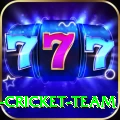 ireland cricket team Premium Plus v4.5.1