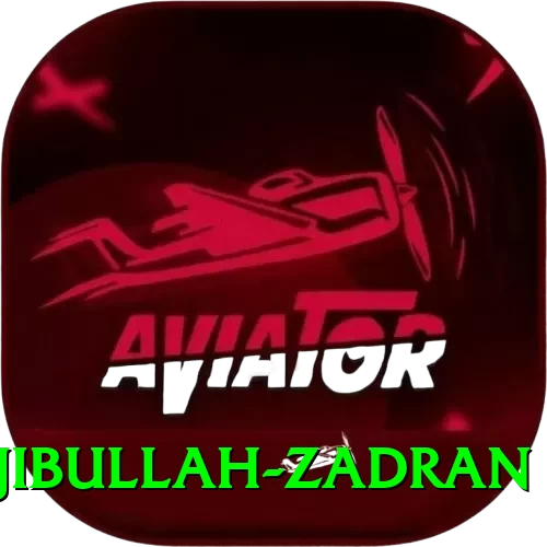 najibullah zadran Plus Pro v3.8.3 - 2