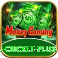 nepal cricket Turbo - Free Download