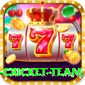 new zealand cricket team Premium Edition v5.5.6