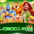 one cricket King Slots