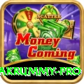pakrummy King Gaming App