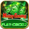 play cricket Games (Casino & Earning) Master v2.6.1