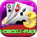 r cricket - VIP Edition v4.9.3