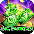responsible gambling pakistan Master v4.3.2