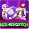 rudi koertzen Plus v1.6.2