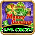 smartcric live cricket Plus Edition v4.6.1