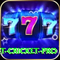 test cricket Live Champion v5.0.1