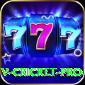 v cricket Games Plus