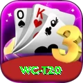 wc t20 Pro