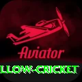 willow cricket Gold Edition v5.7.3